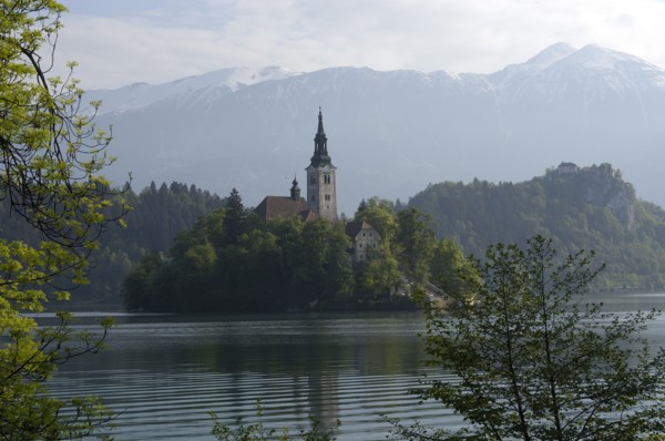 SLOVENIA, Lake Bled, Bled Island and tower of the Church of the Assumption