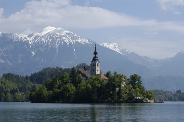 SLOVENIA, Lake Bled, View over the lake toward Bled Island and tower of the Church of the