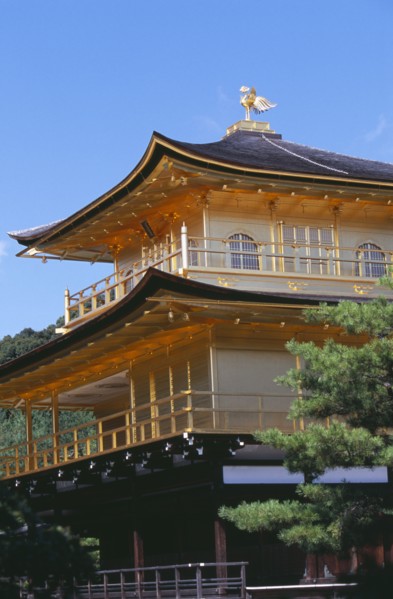 JAPAN, Honshu, Kyoto, Kinkaku Ji Temple aka the Golden Pavilion