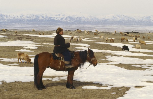 CHINA, Xinjiang Province, Altai Mountains, Kazakh herder on horseback with flock of sheep grazing