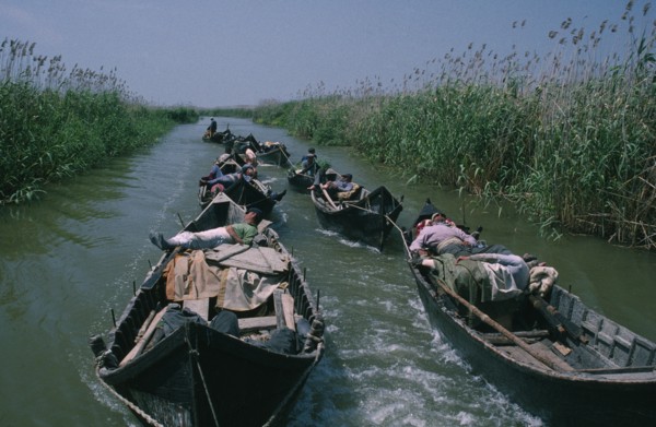 ROMANIA, Danube Delta, Sturgeon fishermen in shallow wooden boats linked to each other by rope