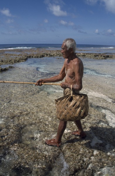 PACIFIC ISLANDS, Polynesia, Cook Islands, Atiu.  Lagoon fisherman with bamboo rod and woven basket.