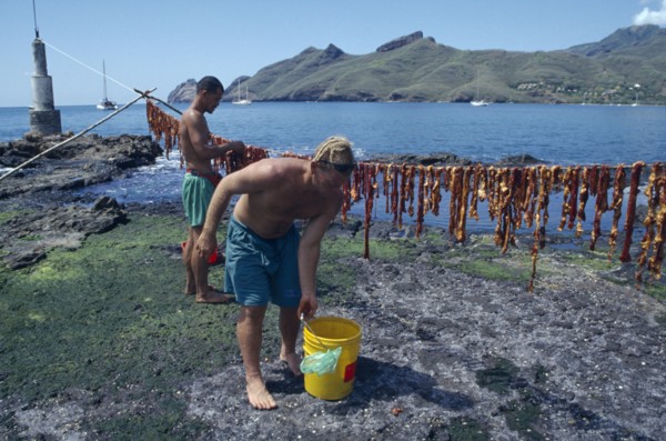 PACIFIC ISLANDS, Polynesia, French Polynesia, "Marquesas, Nuku Hiva.  Men air drying beef in
