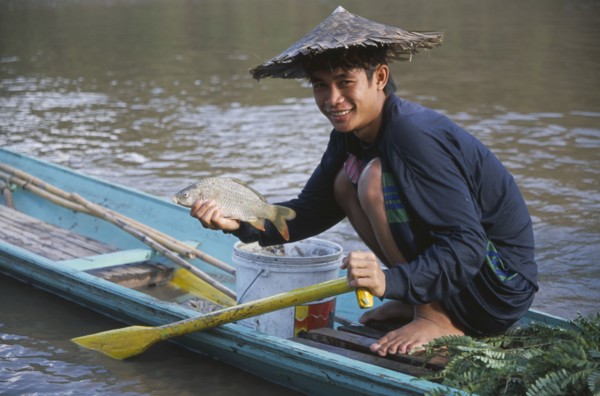 LAOS, Luang Prabang, Fisherman  crouched on wooden canoe on the Mekong River holding up fish.