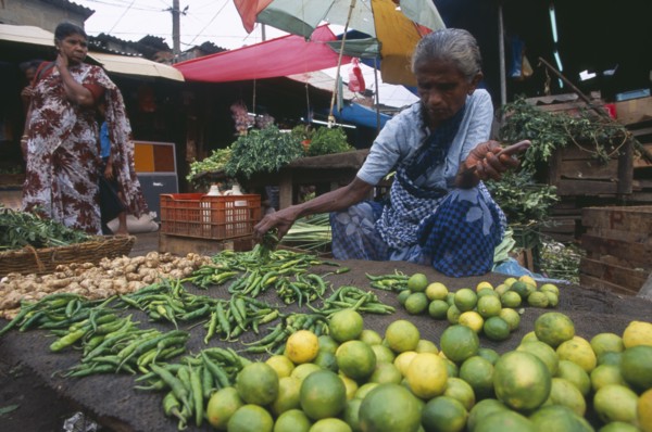 SRI LANKA, Colombo, "Pettah District. Female vendor selling limes, green chillies and vegetables"