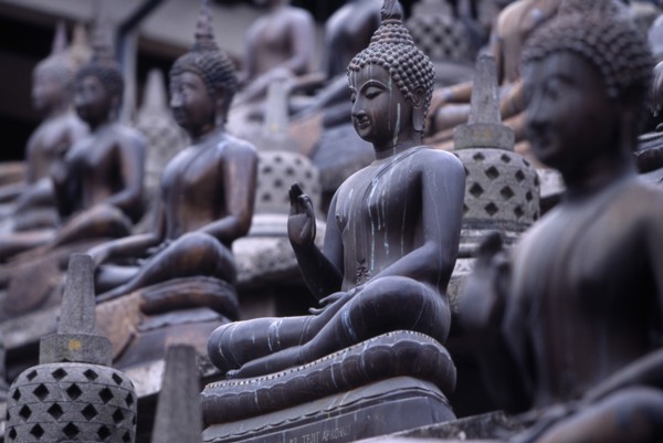 SRI LANKA, Colombo, Gangaramaya Temple. Mass of seated Buddha statues
