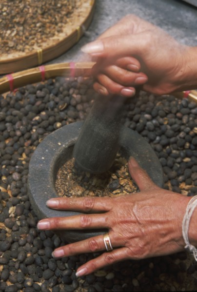 THAILAND, Chiang Mai Province, Mueng Keurt, Woman grinding coffee seeds with a pestle and mortar to
