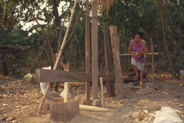 THAILAND, Chiang Mai Province, Mueng Keurt, Woman grinding coffee seeds with a foot powered mill to