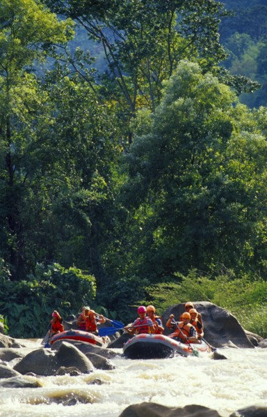 THAILAND, Chiang Mai Province, Western tourists and Thai guides white water river rafting on the