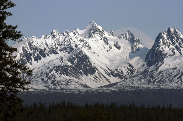 USA, Alaska, Snow covered mountain range with green treetops in the foreground