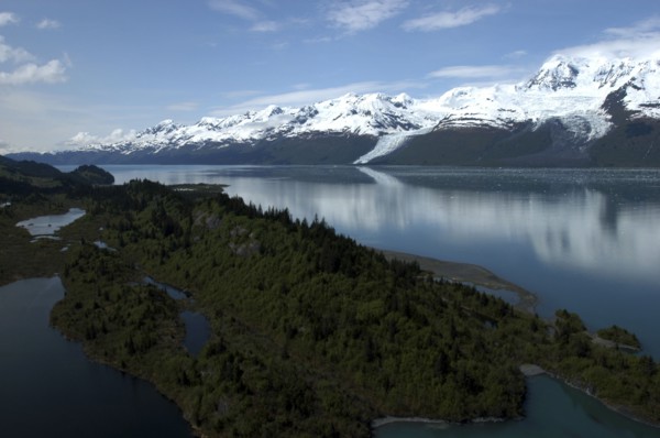 USA, Alaska, College Fjord, View over trees and calm waters of the bay toward snow capped mountain
