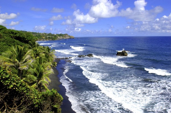 WEST INDIES, St Vincent, View along palm lined coastline