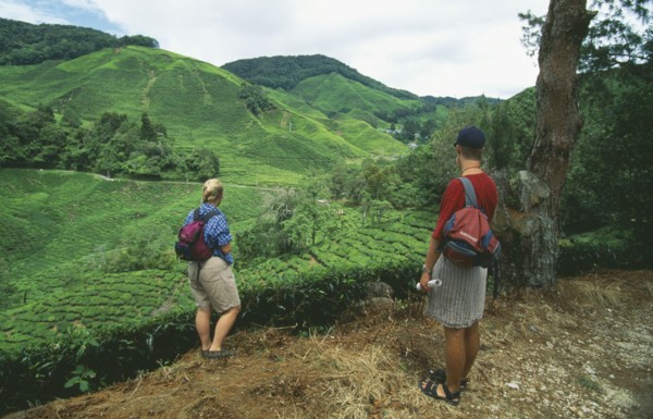 MALAYSIA, Perak Province, Cameron Highlands, Sungai Palas Estate with tourist couple looking out