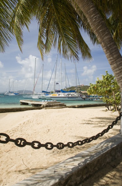 WEST INDIES, St Vincent & The Grenadines, Union Island, Clifton Harbour moorings and beach outside