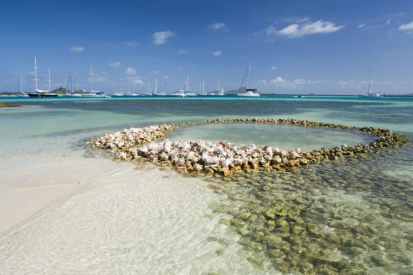 WEST INDIES, St Vincent & The Grenadines, Union Island, Conch shell structures on the beach at