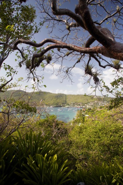 WEST INDIES, St Vincent & The Grenadines, Bequia, Port Elizabeth in Admiralty Bay with moored