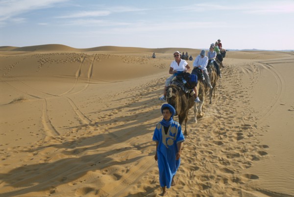 MOROCCO, Sahara, Merzouga, Guide leading tourist camel train through desert landscape.