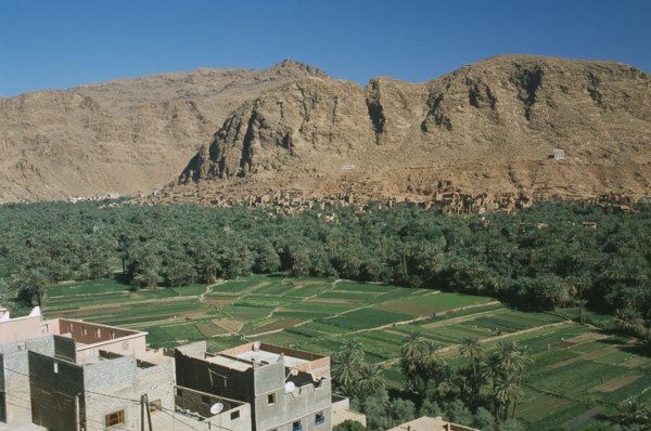 MOROCCO, Tinghir, Town buildings overlooking agricultural land and oasis.