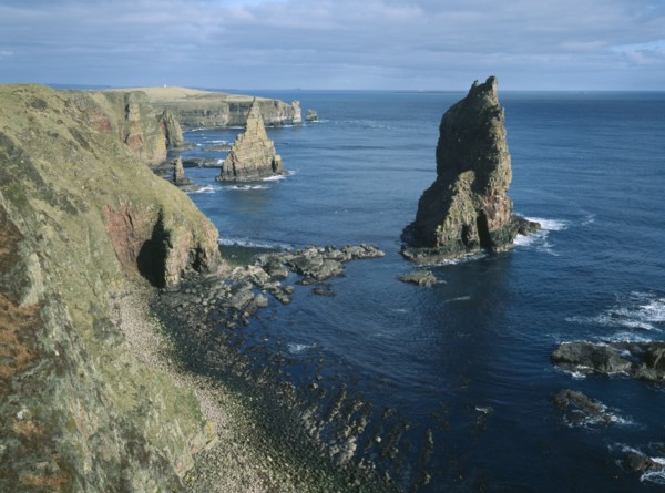 SCOTLAND, Highland, Duncansby Head, Stacks of Duncansby.  Pointed sea stacks off the North East