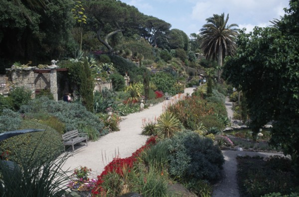 UNITED KINGDOM, Scilly Isles, Tresco, Abbey Gardens