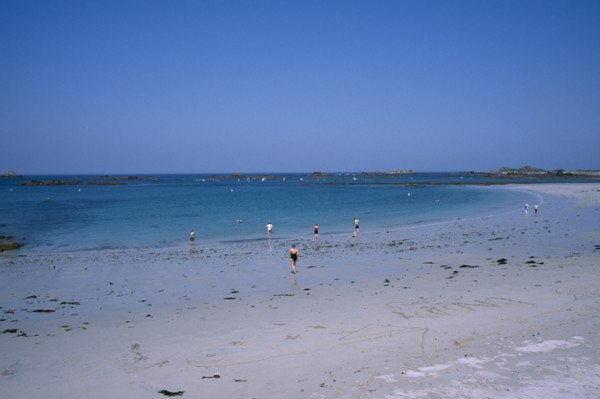 UNITED KINGDOM, Channel Islands, Guernsey, Castel. Cobo Bay. Sandy beach with people paddling at
