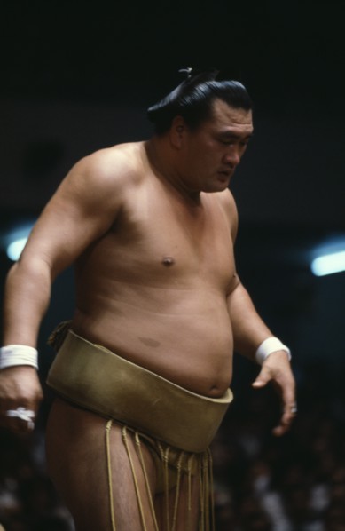 JAPAN, Honshu, Ishikawa, Wajima.  Sumo grand champion.