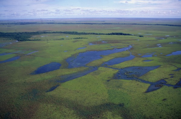 COLOMBIA, Casanare, Llanos wetlands during rainy season.