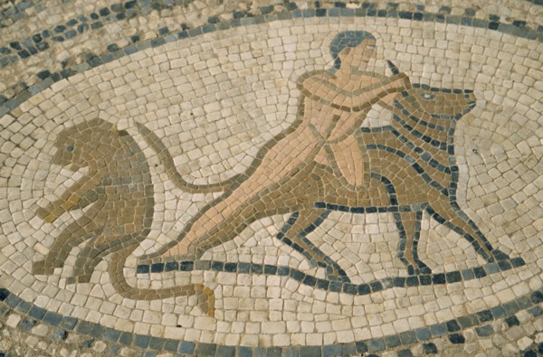 MOROCCO, Volubilis, Detail of mosaic depicting man wrestling bull.