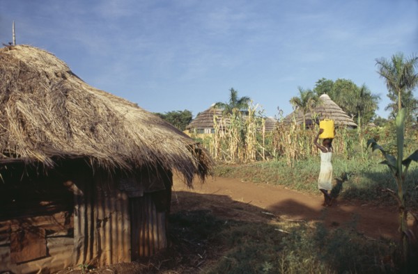 UGANDA, Jinja, "Houses in countryside, woman carrying container on her head."