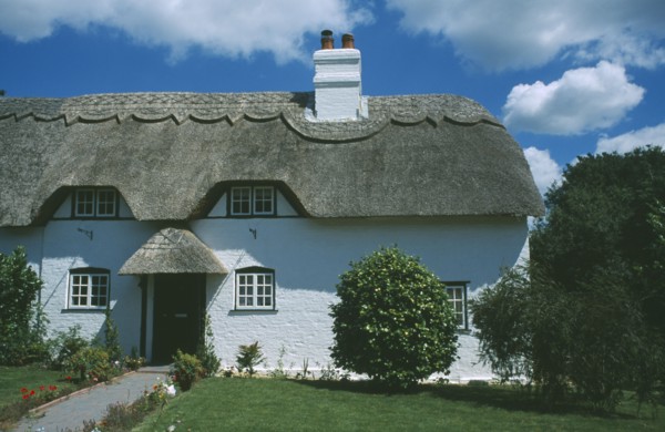 ENGLAND, Hampshire, Lyndhurst, Thatched Cottage seen from across green front lawn.