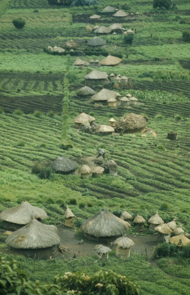 RWANDA, Farmland, Small thatched farmsteads and cultivated land.