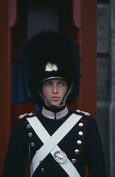 DENMARK, Zealand, Copenhagen, Portrait of guard outside the Amalienborg Palace.