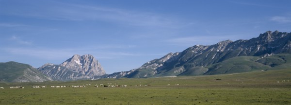 ITALY, Abruzzo, Sasso di Italia, "Campo Imporatore. A vast high plateau used for horse cattle and