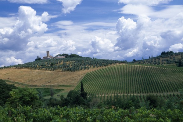 ITALY, Tuscany, General, Landscape with vineyards and dramatic cloudscape above towards San Lucia