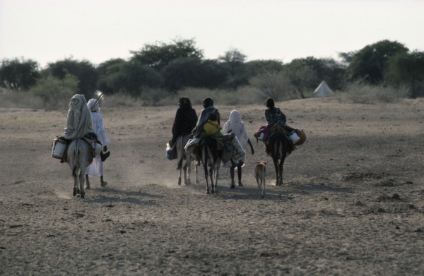 SUDAN, Darfur, Baggara Arabs from the Beni Halba tribe on foot and donkey in semi desert area.