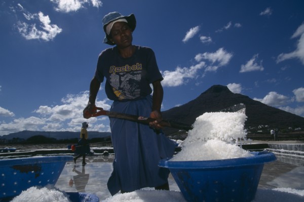 MAURITIUS, Tamarin, Female workers filling salt pans to earn eighty-four ruppees a day.