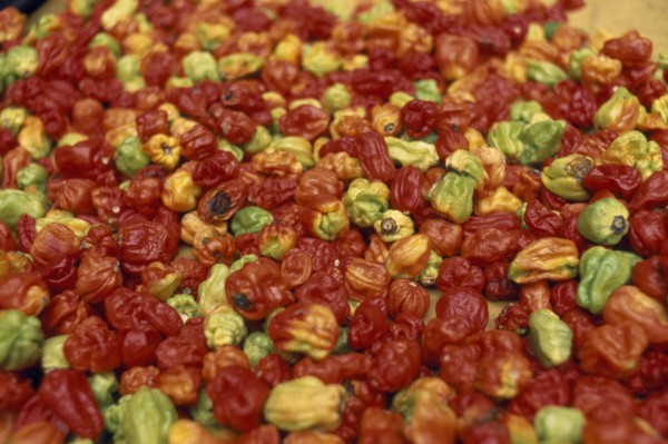 IVORY COAST, Abidjan, Display of chilies for sale in covered market.