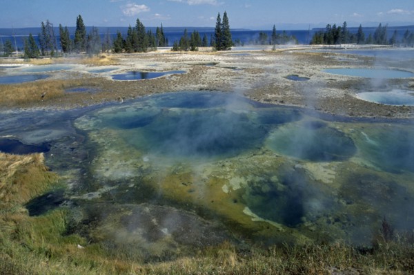 USA, Wyoming, Yellowstone National Park. Geysers at West Thumb.