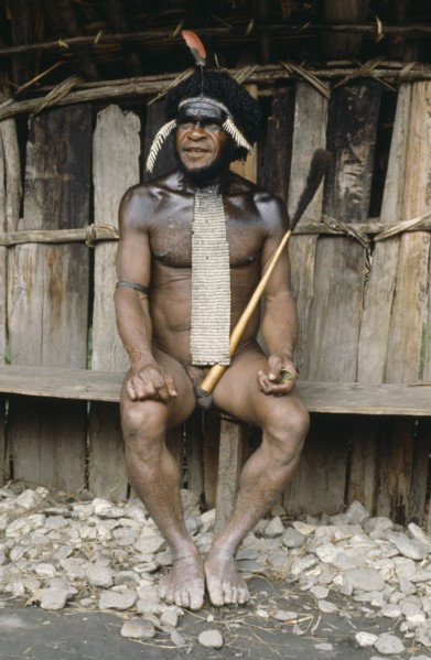 INDONESIA, Irian Jaya, Baliem Valley, Dani Warrior man wearing a penis gourd with the top made from