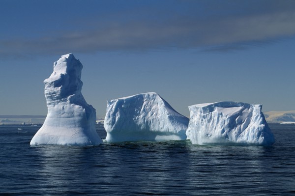ANTARCTIC, Peninsula, Melting Icebergs on open water