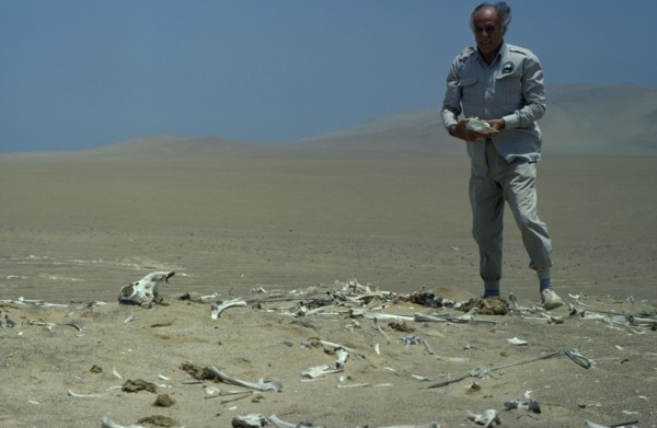 PERU, Paracas National Park, The late conservationist  Felipe Benavides at Guanacos Cemetery