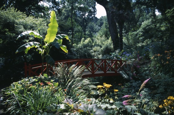 ENGLAND, Dorset, Weymouth, "Abbotsbury Sub Tropical Gardens. Red oriental bridge surrounded by