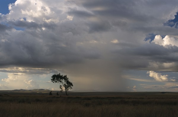 MADAGASCAR, Weather, Rain storm clouds over the Horombe Plateau with a single tree on the ground