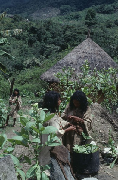 COLOMBIA, Sierra Nevada de Santa Marta, Chendukua, Old traditional centre of Chendukua Kogi Tribe.