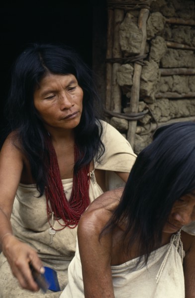 COLOMBIA, Sierra Nevada de Santa Marta, Sierra Avingue, Parque Nacional. Kogi mother and