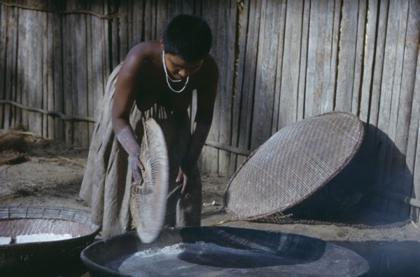 COLOMBIA, Vaupes Region, Tukano Tribe, Girl prepares clay oven for baking “casabe” yucca flour into