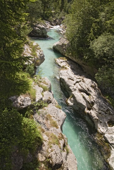 SLOVENIA , Trenta Valley, Soca River, "Viewed from Felika Korita Soce a narrow wooden suspension