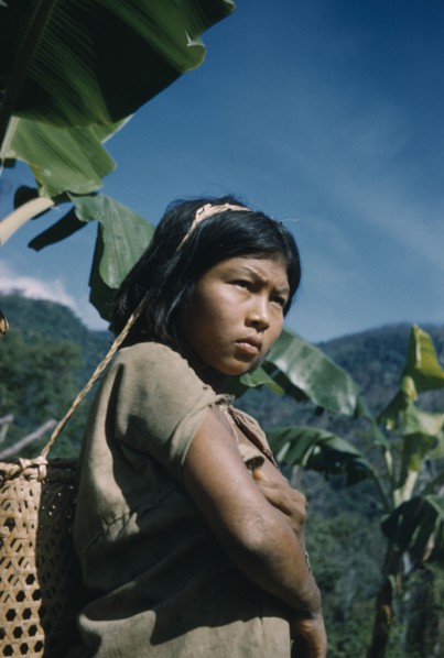 COLOMBIA, Sierra de Perija, Yuko - Motilon, Young girl with woven cane basket for carrying maize