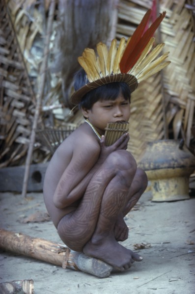 COLOMBIA, Vaupes Region, Tukano Tribe, "Young boy with “we” dark purple leaf dye and a crown of