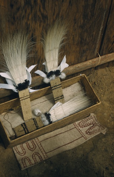 COLOMBIA, Vaupes Region, Tukano Tribe, "Sacred box of ceremonial feather head-dresses, ritual